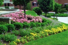 photo-3