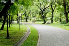 photo-6